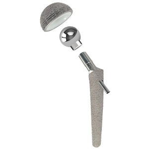 Universal Hip Implants