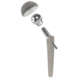 Universal Hip Implants