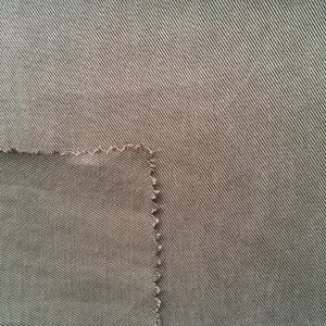 100% Lyocell Fabric 21S*21S/200GSM Lyocell Woven Fabric for Clothing