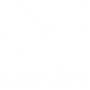 Company icon