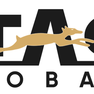 Company icon
