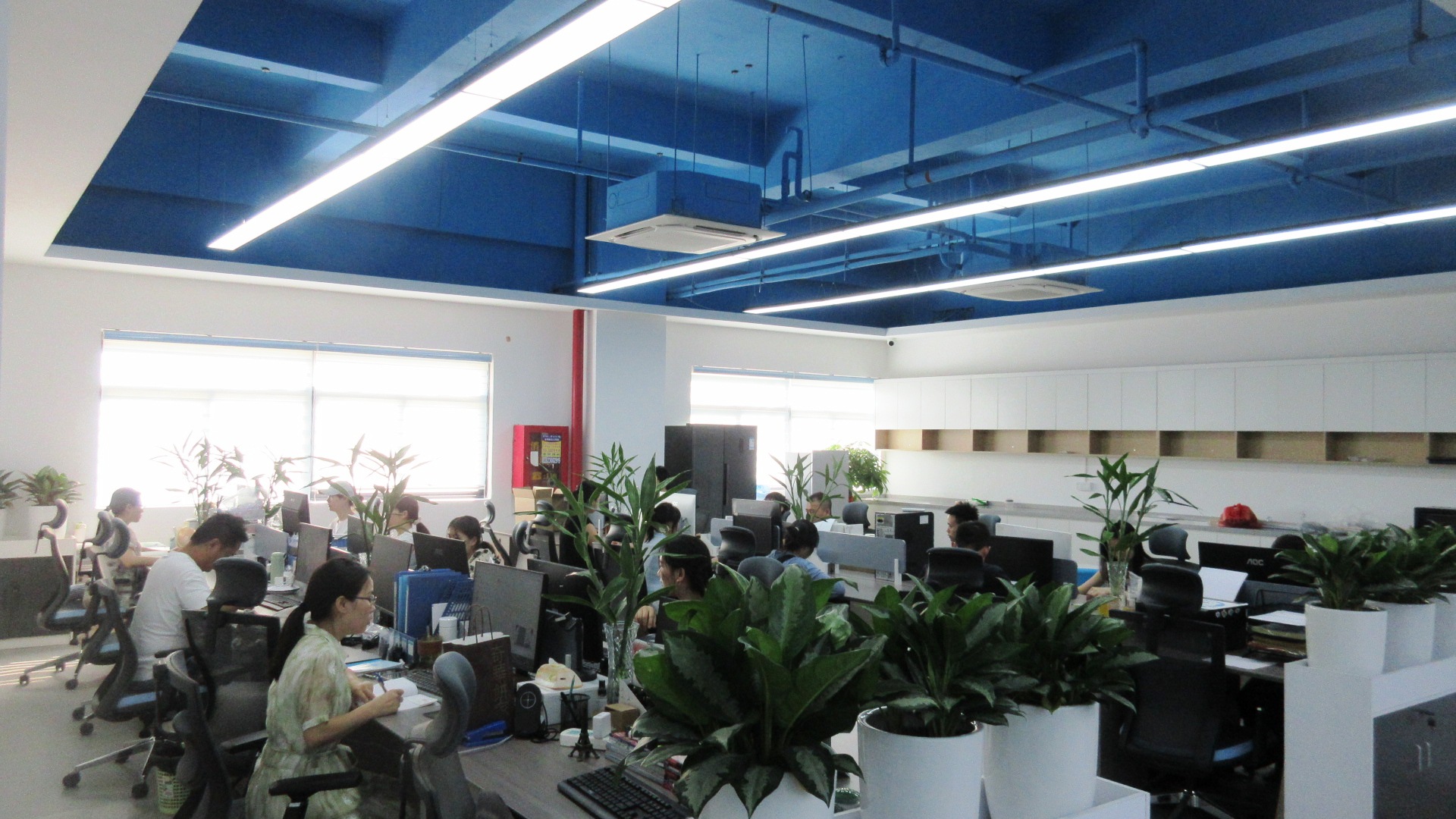 Shenzhen Cnbado Electronics Co., Ltd. Mobile Phone Charger