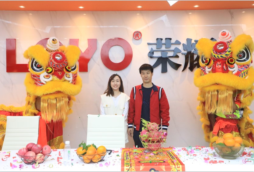 Guangzhou Loyo Electronic Technology Co., Ltd. motorcycle lights