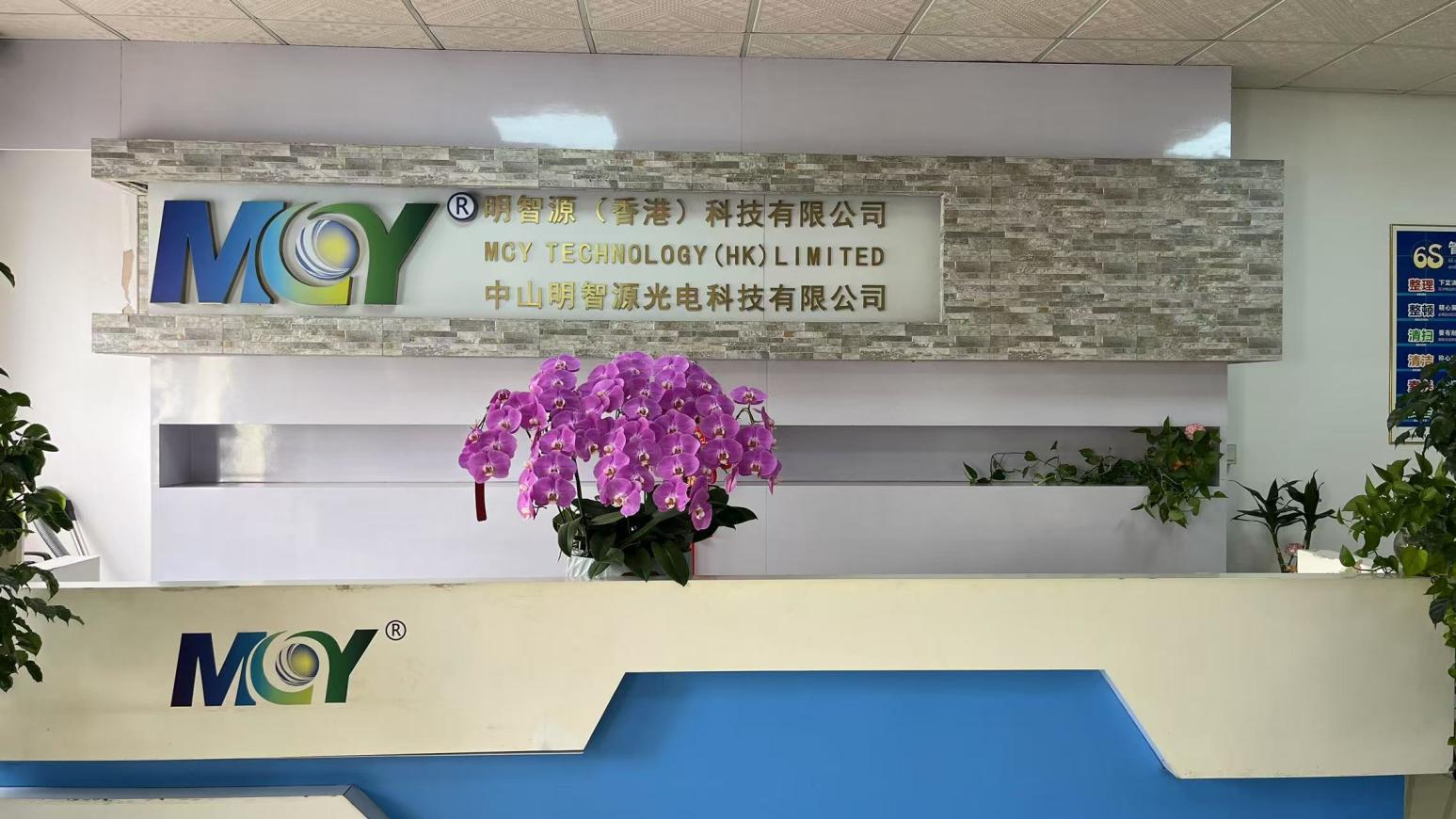 MCY Technology Limited E-Side Mirror System