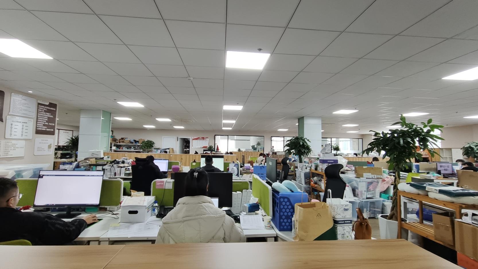 Ningbo Echo Int'l Trade Co., Ltd. Hair Clippers