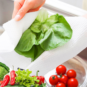 ESun PLA Non Woven Fabric Fruit Vegetable Protective Nonwoven Cover Fabric