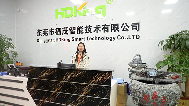 Shenzhen HDKing Electronics Co., Ltd. factory image 5