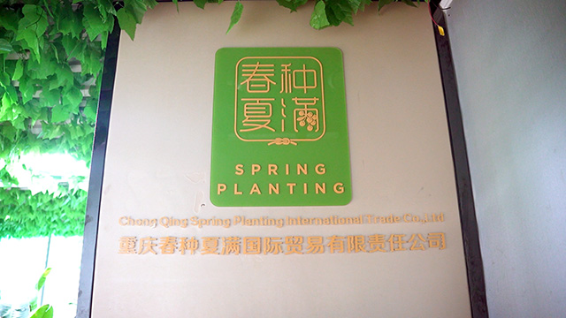 Chongqing Spring Planting International Trade Co., Ltd. Wedding Decoration
