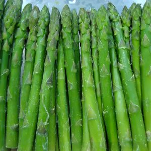2025 Good Price IQF Frozen Vegetables High Quality IQF Frozen Green Asparagus for Sale