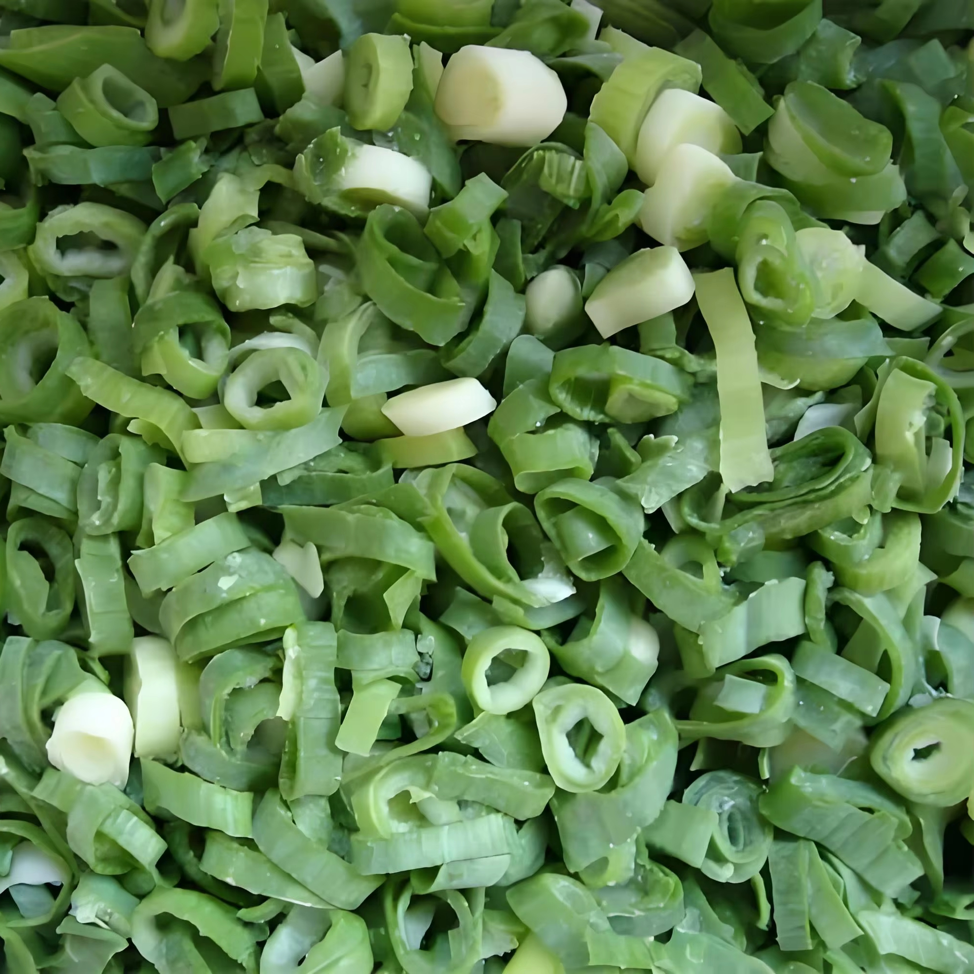 High Quality China Supplier IQF Vegetables Bulk 10kg IQF Frozen Spring Onion