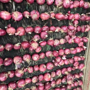 Best Selling Fresh Onions Factory Price Bulk Wholesale Imported From China's Red Onion Trusted Vegetable Supplier