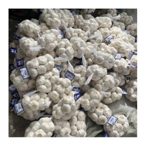 High Quality Organic China White Garlic Fresh Red Garlic in Chinese 3p/4p/5p Mesh Bag Factory Direct Price