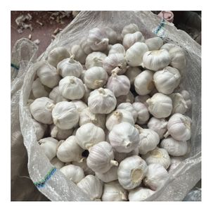 2025 New Harvest Grade 1 Fresh Onion and Garlic Normal White and Pure White Garlic for Sale