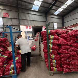 High Quality Organic Indian Red Onions Fresh New Harvest Bulk Supply at Competitive Rates
