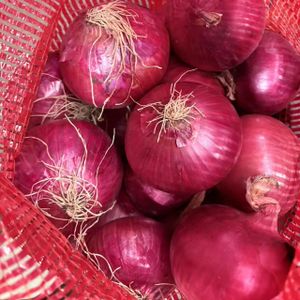 2025 China New Season Red Onion and Yellow Onion Factory Cheap Price Fresh Vegetables Dried Onions