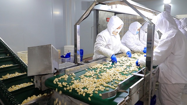 Shandong Sinofarm Food Co., Ltd. factory image 6