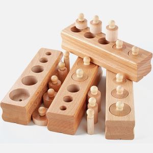 Montessori Pressure Blocks School Teaching Livre Materials Preschool Educational Wooden Toy Knobbed Cylinders Montessori