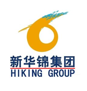 Company icon