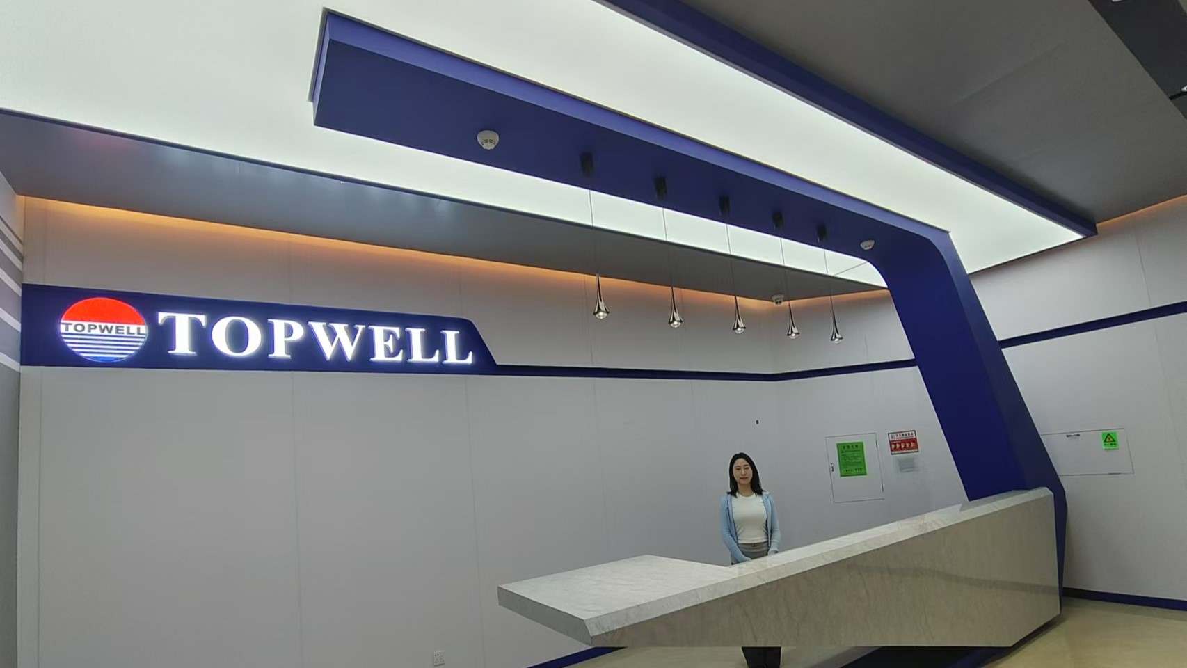 Shenzhen Topwell Innovations Co., Ltd. Silicone Rubber Molds