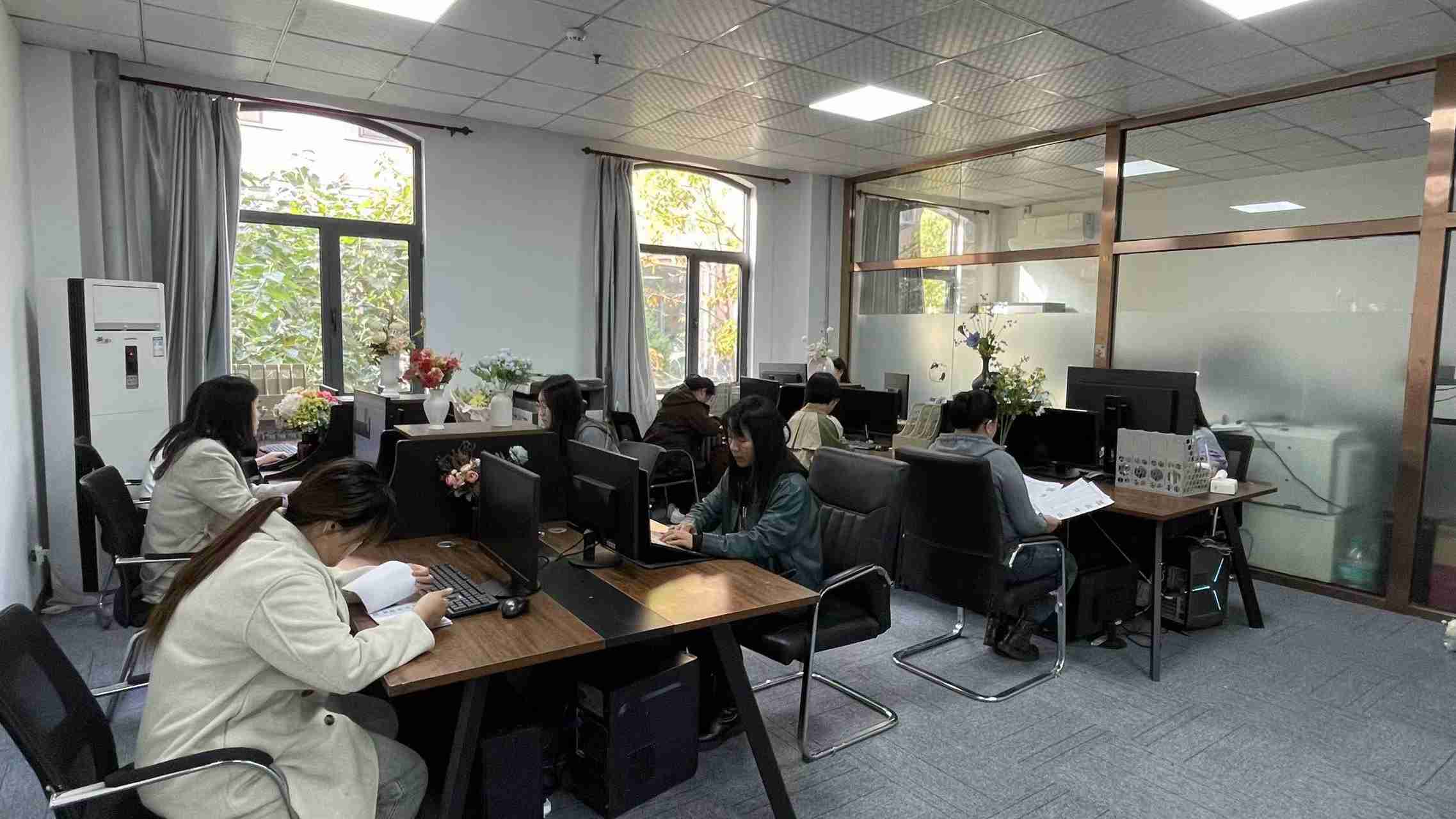 Tianjin Promie Import And Export Trade Co., Ltd. Christmas Decoration