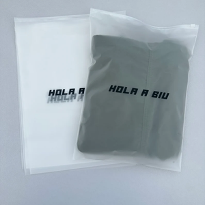 Wholesale Custom logo Frosted Zipper Bag Clothes Zip Lock Self Sealing Bag Clothing Packaging