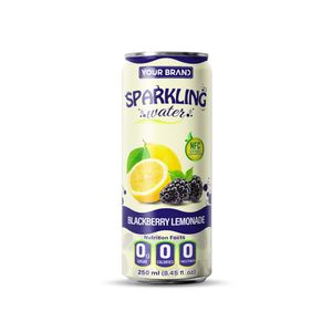 250ml YOUR BRAND Sparkling Water Blackberry Lemonade Natural Flavor Hot Selling Carbonated Drink Free Sample Private Label