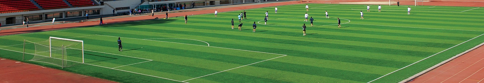 Zhengzhou Champion Co., Ltd. artificial grass