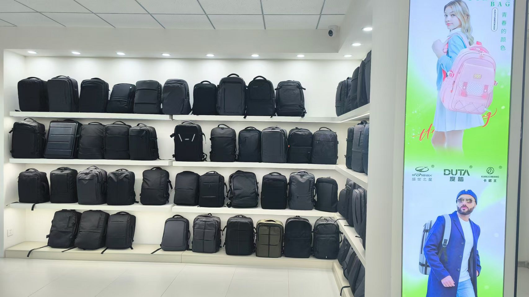 Baoding Shengshizhixing Bags Manufacturing Co., Ltd. School Backpacks