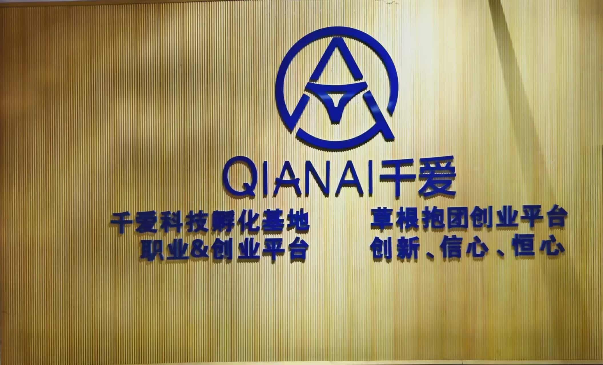 Jiangxi Qianai Health Technology Co., Ltd. Silicone Dildo