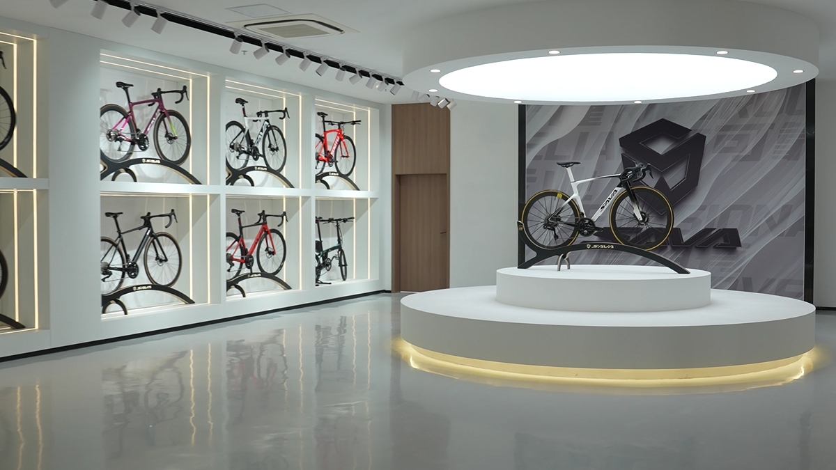 Huizhou Sava Bike Co., Ltd Carbon Road Bike