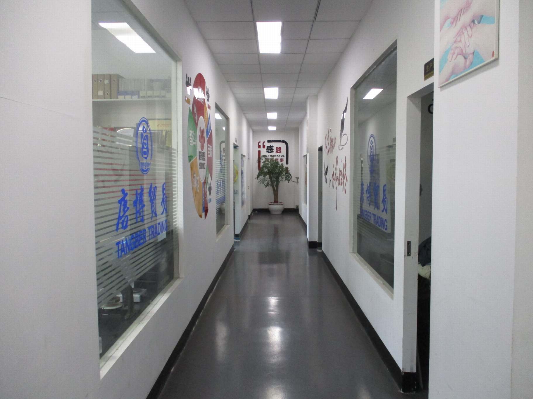 Zhejiang Tangber Trade Co., Ltd. Cotton Jersey Fabric
