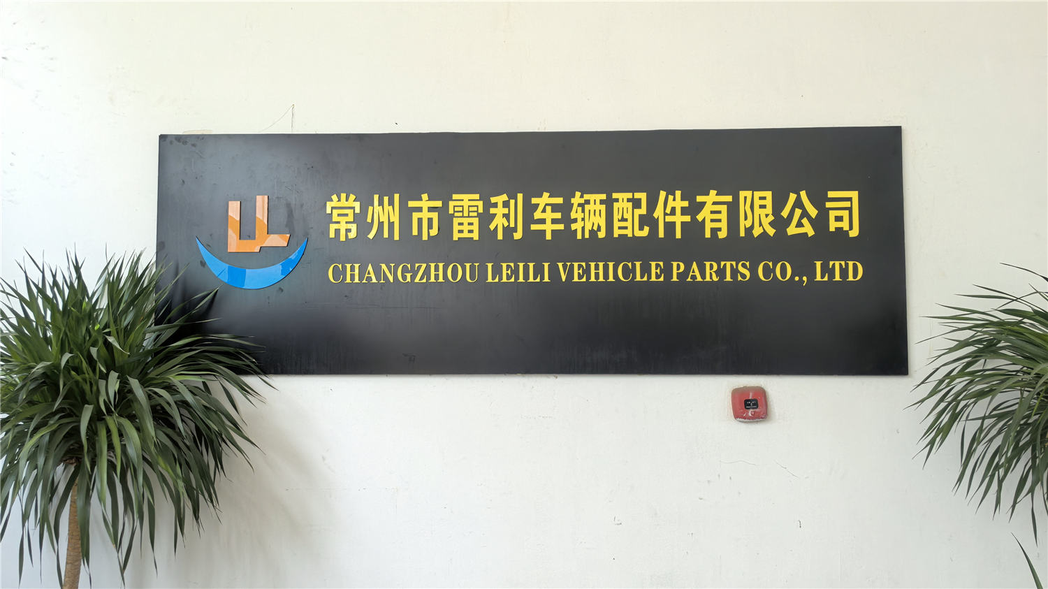 Changzhou Leili Vehicle Parts Co., Ltd. Electric Bicycle