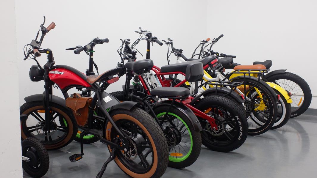 Shenzhen Tianjia International Supply Chain Co., Ltd. Folding Electric Bikes