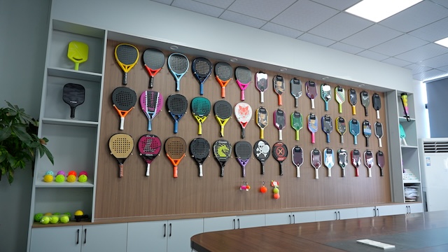 Dongguan Luyisilin Technology Co., Ltd. Pickleball Paddle