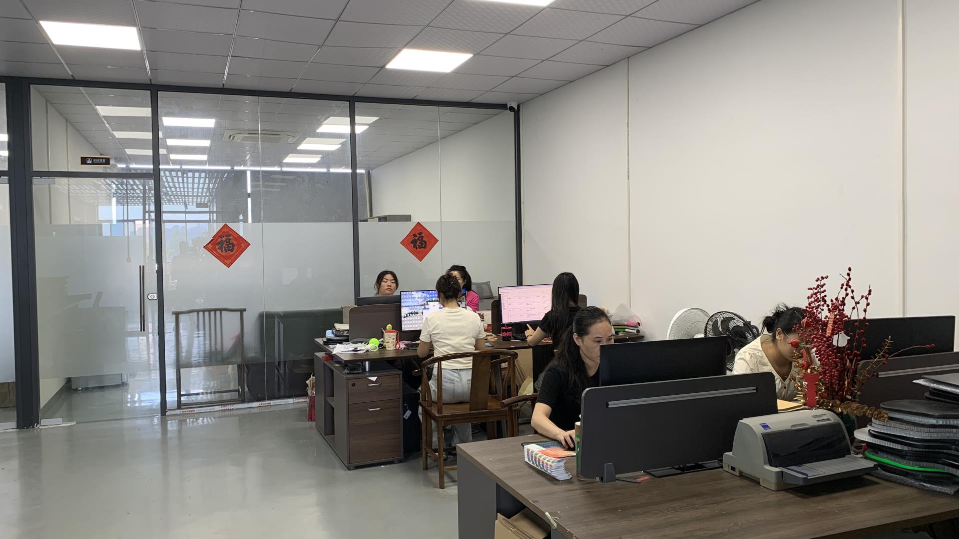 Dongguan Luyisilin Technology Co., Ltd. Pickleball Paddle