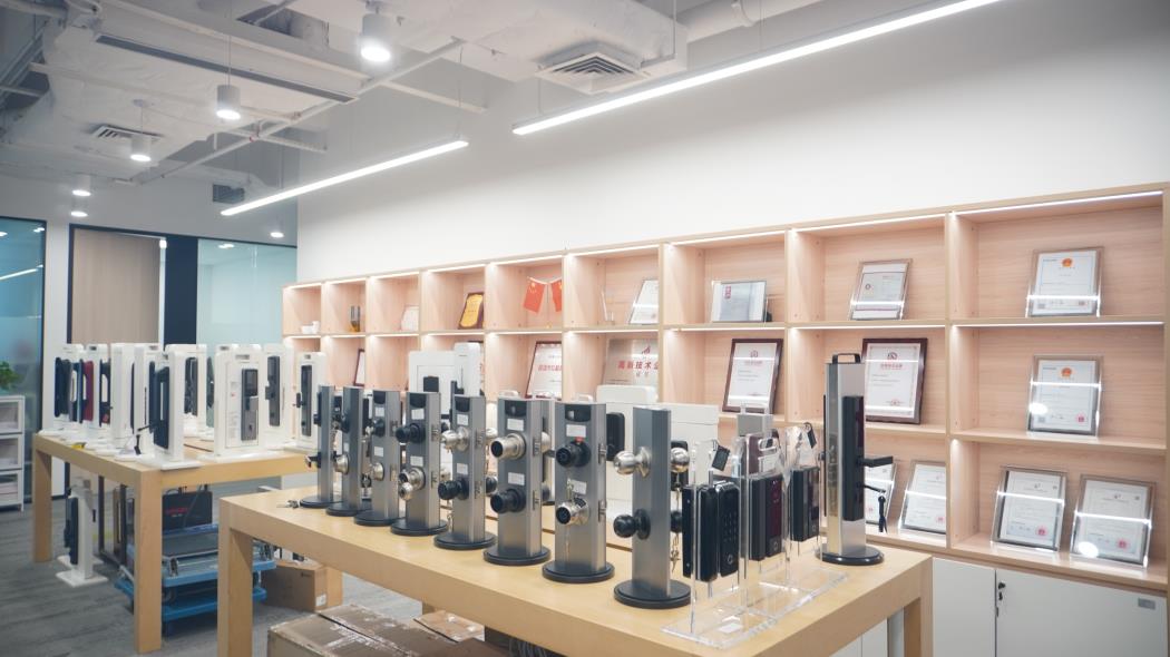 Shenzhen Dingshan Technology Co., Ltd. Smart Private Cloud Storage
