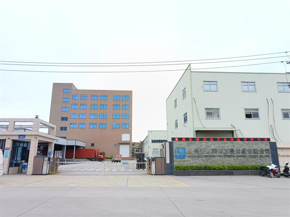 Quanzhou Tianjiao Lady & Baby's Hygiene Supply Co., Ltd. Adult Diapers