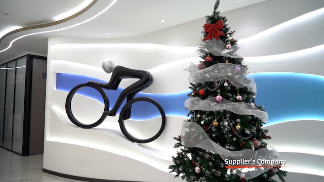 Hebei Sujie Bike Co., Ltd. Electric Bicycle
