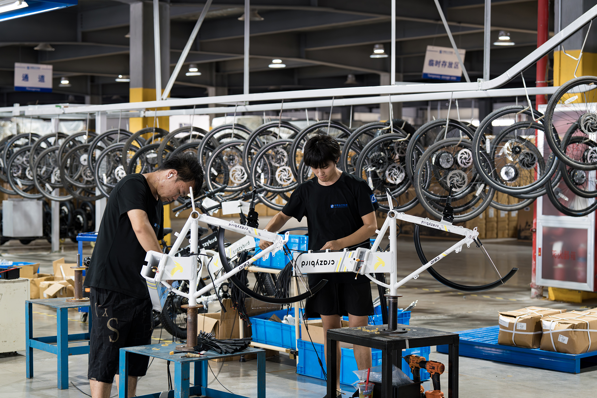 Zhejiang Speedy Flying Industry & Trade Co., Ltd. Electric Scooter