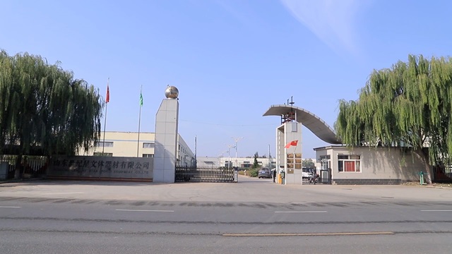 Shandong Century Star Sports Equipment Co., Ltd. Padel Tennis Court