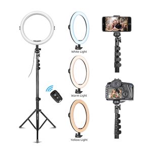 KINGJOY 14 18 21 Inch Photographic Ringlight Manufacturer Rl 18inch Big Beauty Makeup LED Ring Light with Tripod Stand