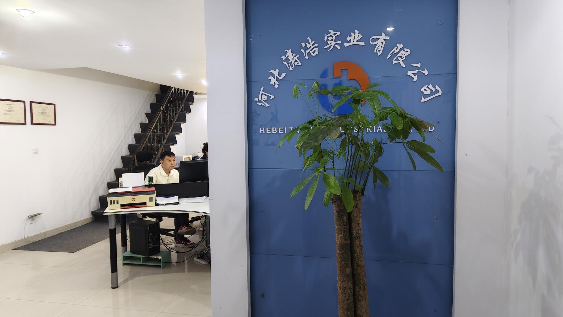Hebei Tao Hao Industrial Co., Ltd. Electric Bicycle