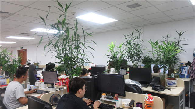 Beijing Sincoheren Science and Technology Development Co., Ltd. Q-Switched Nd:YAG Laser