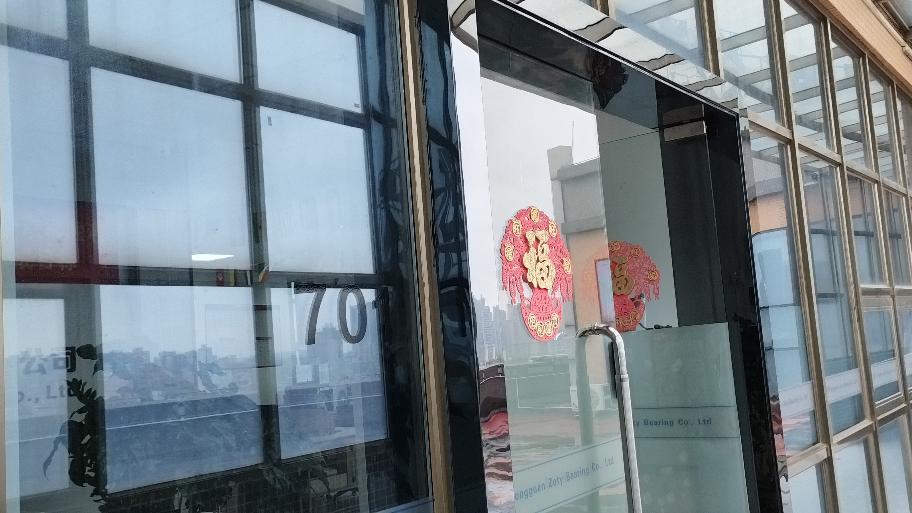 Dongguan Zoty Bearing Co., Ltd. Deep Groove Ball Bearings