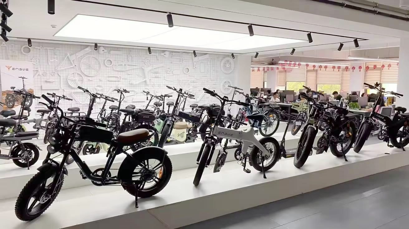 Shenzhen Big Fish Sports Technology Co., Ltd. Electric Scooter