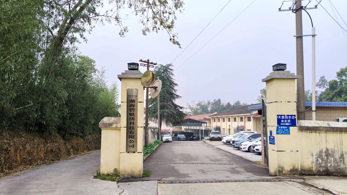 Hunan Mishan Technology Co., Ltd. Permanent Makeup Machine