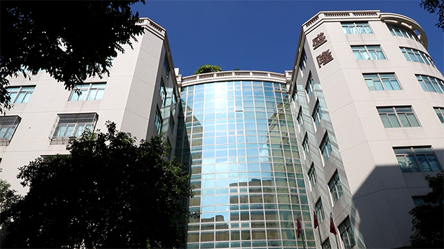 Guangdong Shenglong Toys Industry Co., Ltd. Building Blocks