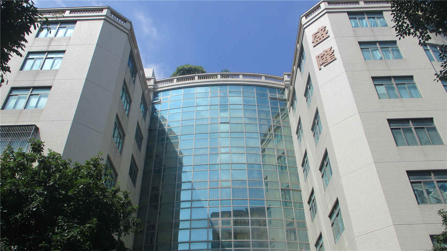 Guangdong Shenglong Toys Industry Co., Ltd. R/C Toys