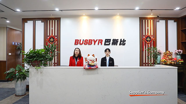 Shenzhen Busbyr New Energy Technology Co., Ltd. Hybrid Solar Inverter
