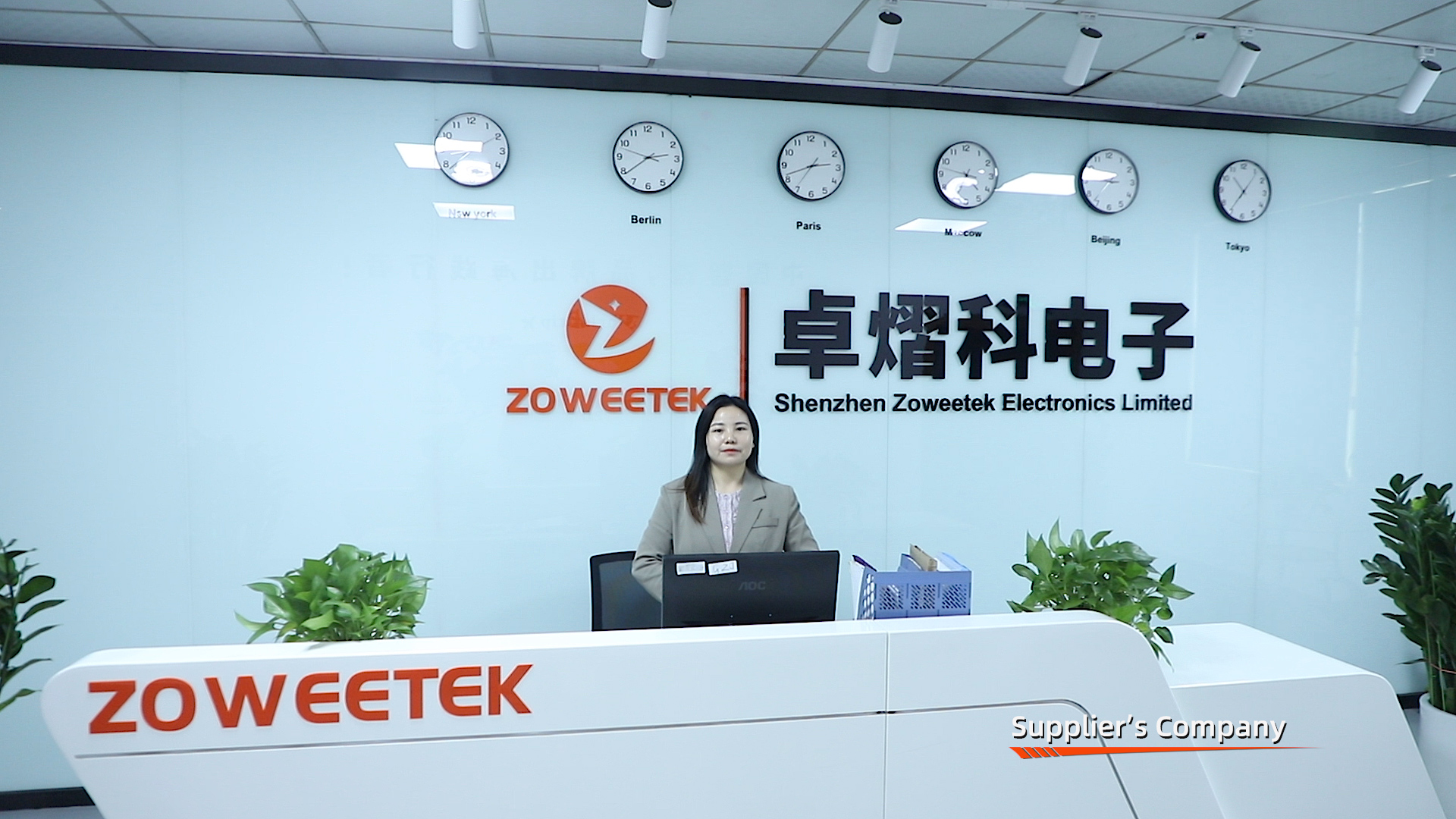 Shenzhen Zoweetek Electronics Limited Voice Amplifier